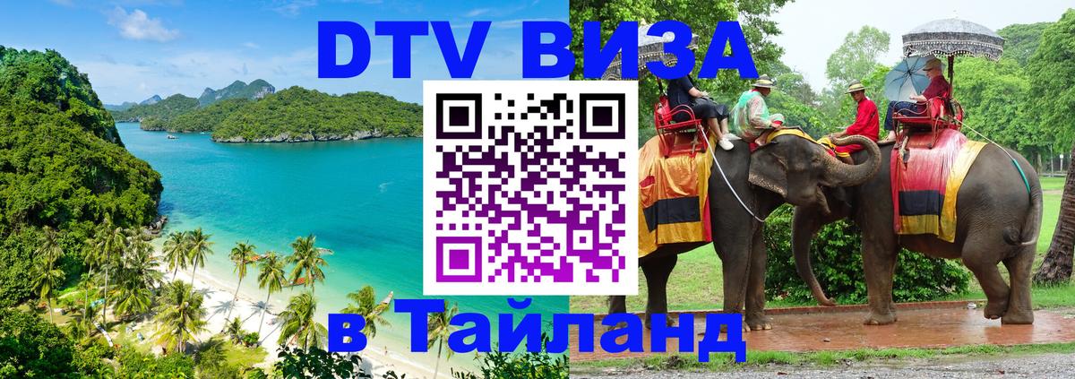Сколько стоит DTV виза — актуальные цены, оформление даже без документов - Шахты 